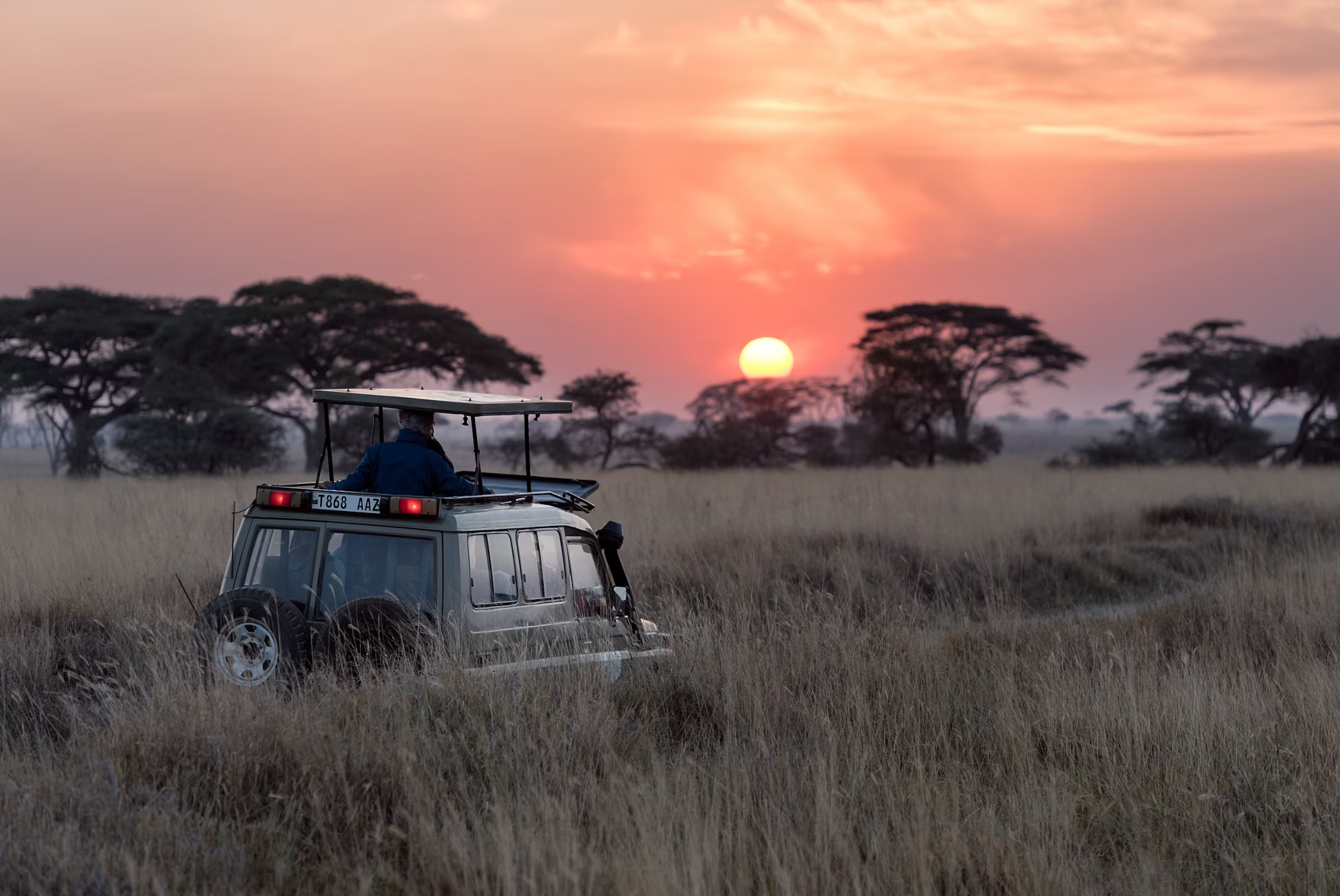 Akagera Safari